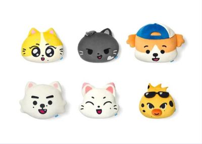 ENHYPEN ENCHIN Official MD | Face Cushion