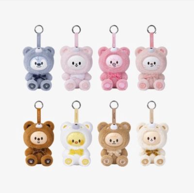 Stray Kids Everywhere All Around the World in Seoul | SKZOO SECRET KEYRING TOY Ver.