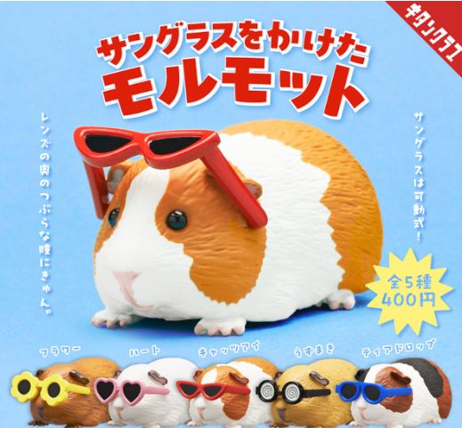 Kitan Club Sunglasses Guinea Pig Blind Box Asst