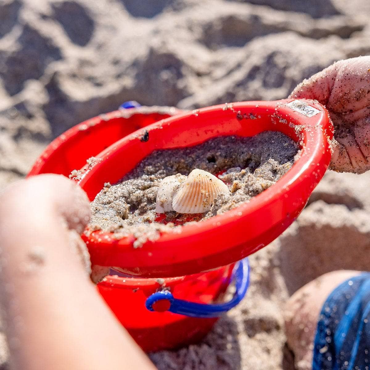 Sand Sieve Small (assorted colors)
