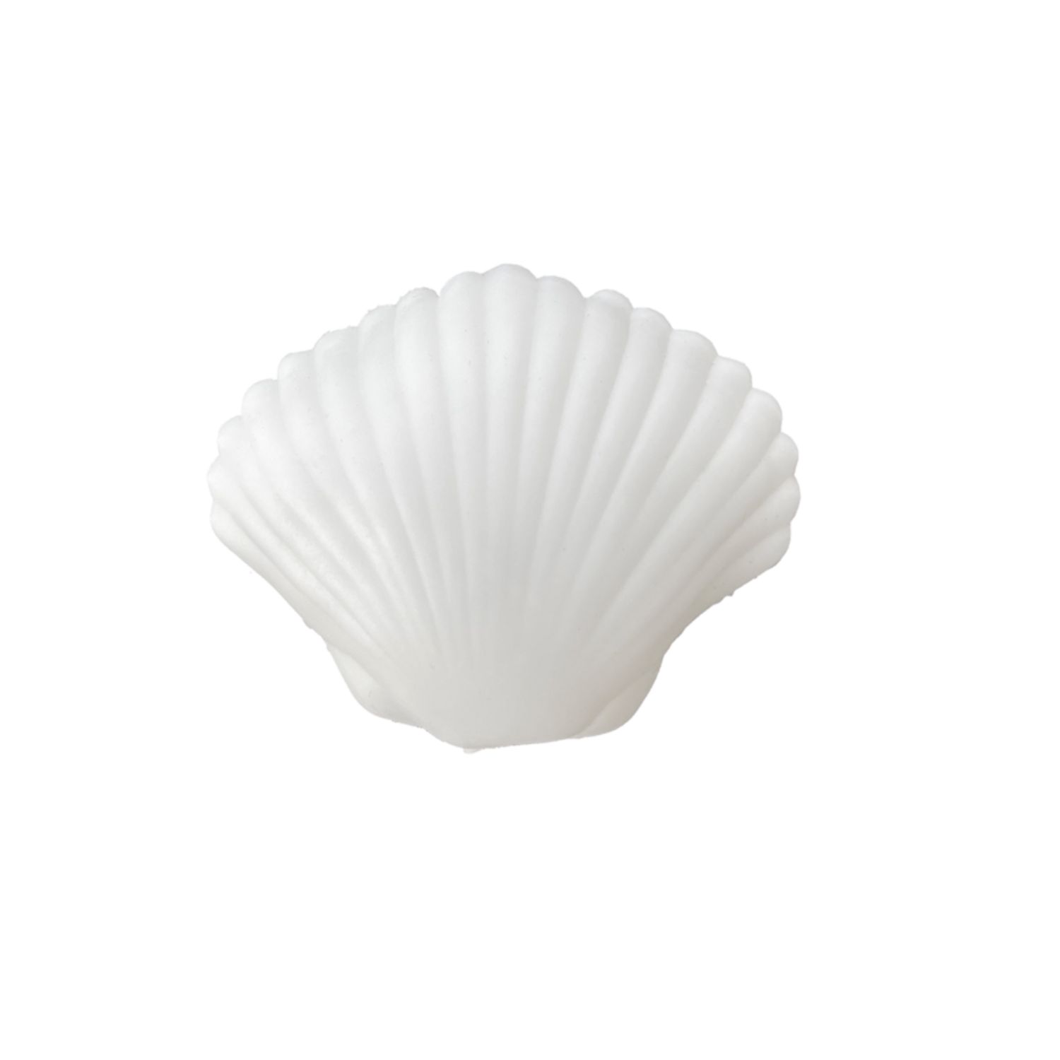 Seaside Clamshell Squeeze Squishy