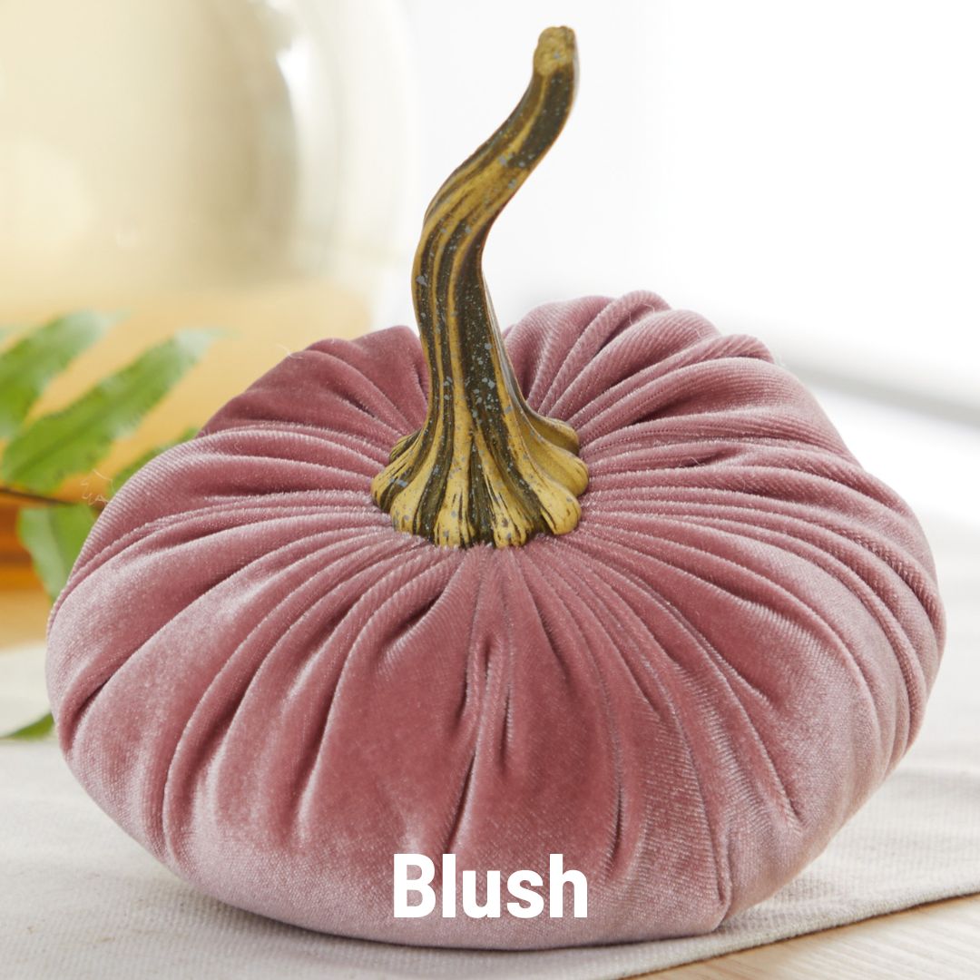 Pumpkin Large Velvet, Fall Mantel Decor, Halloween Table, Color: Blush