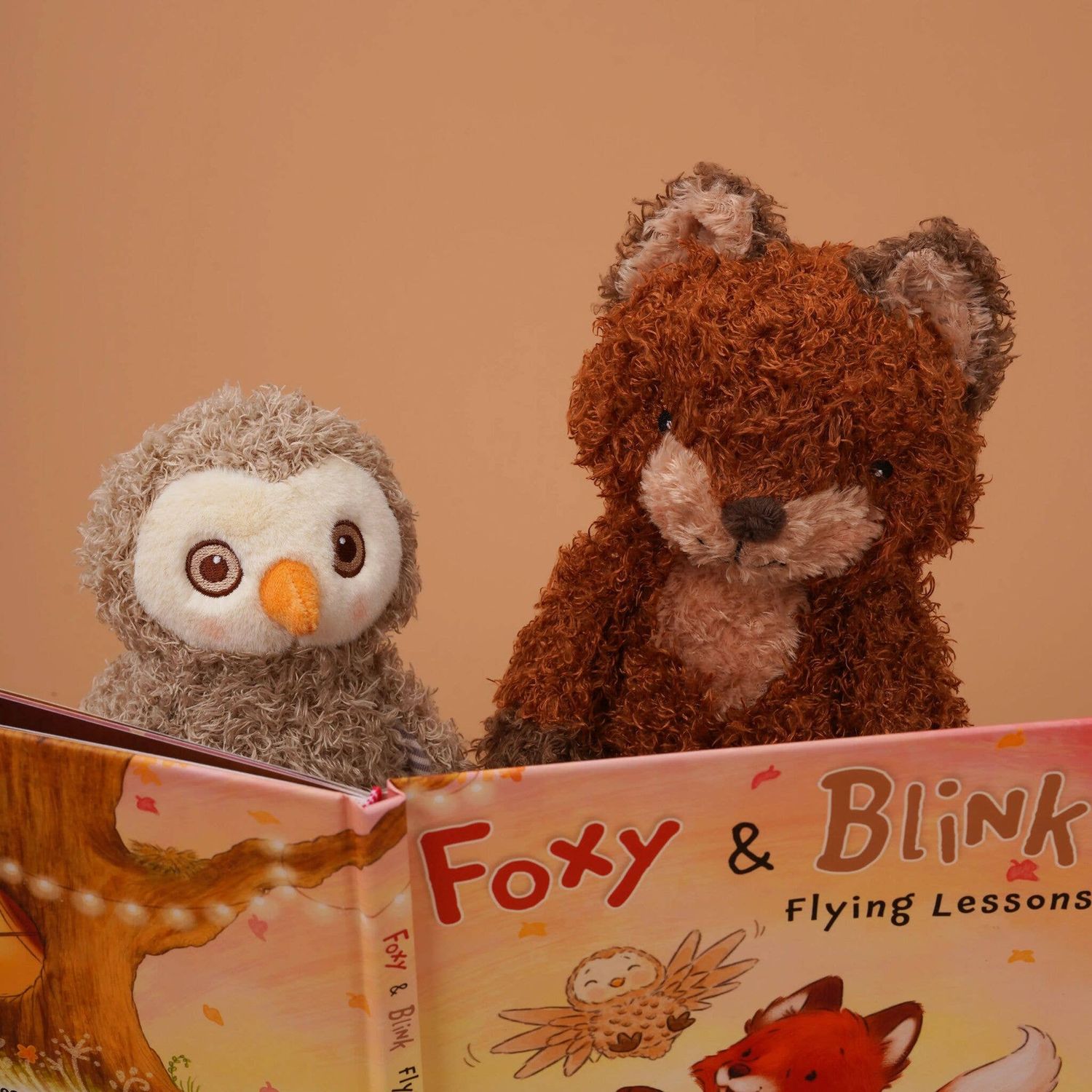 Foxy &amp; Blink Flying Lesson Story Book