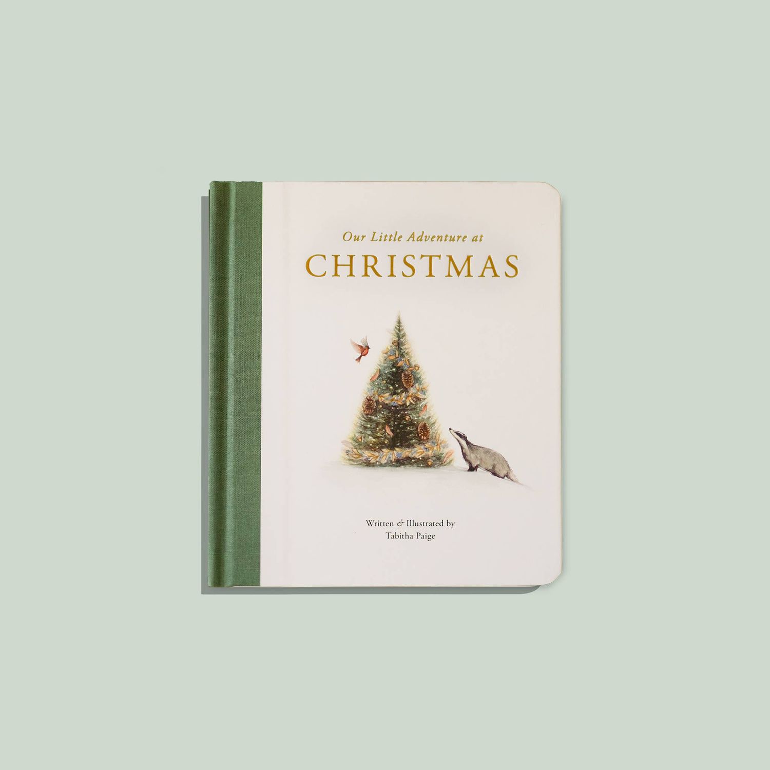 Our Little Adventure at Christmas (Baby's first Christmas)