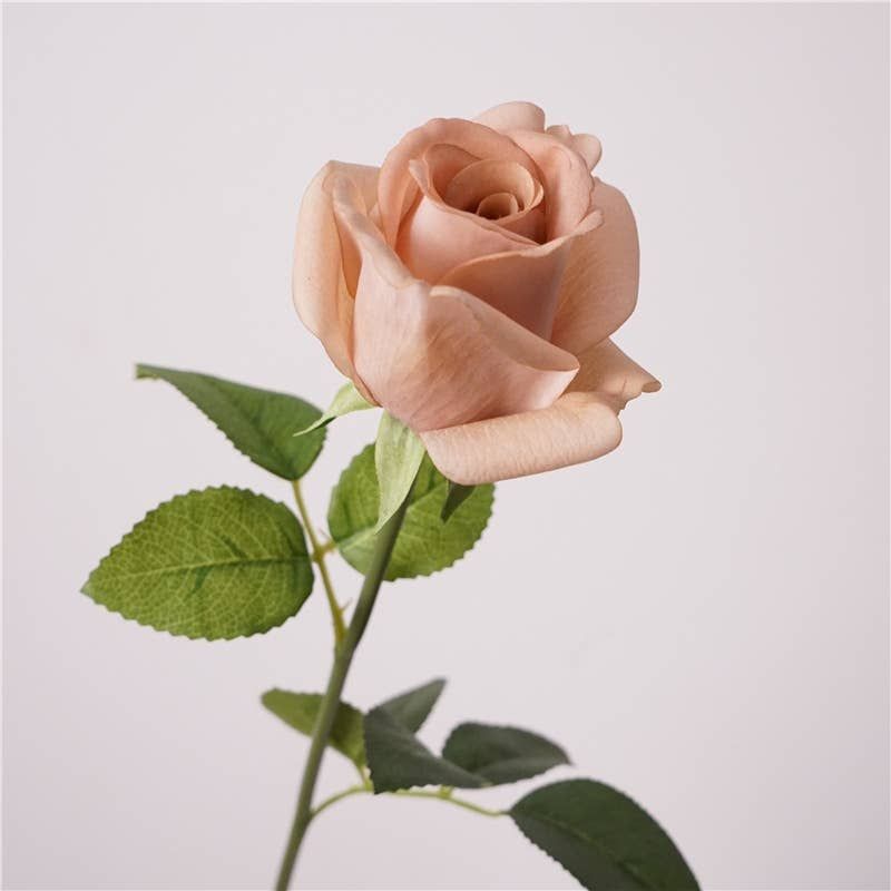 Fall Collection-Ultra Realist Faux Rose–Moisturizing finish, Color: Light Mocha