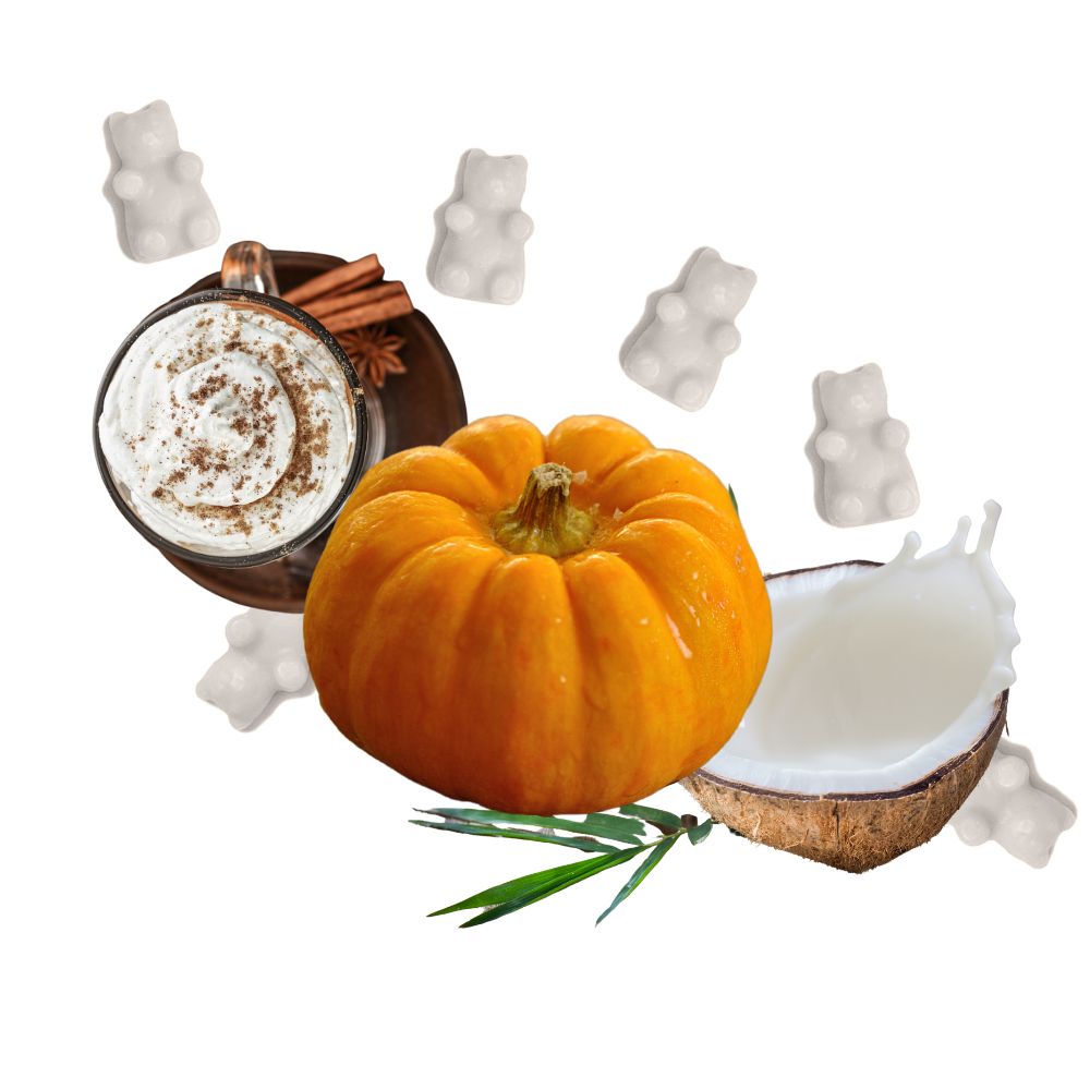 Coconut Creme + Pumpkin Wax Melts - Eco Tin (4 oz)