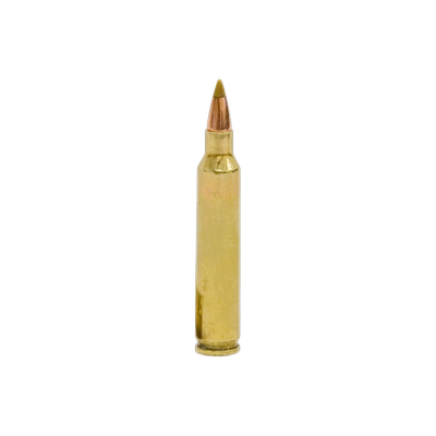 .204 RUGER