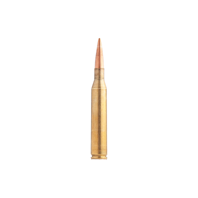 .25-06 REM.