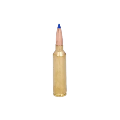 .270 WSM
