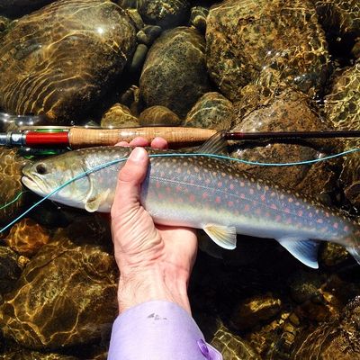 Fishing Tackle