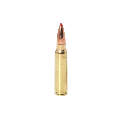 .300 SAVAGE