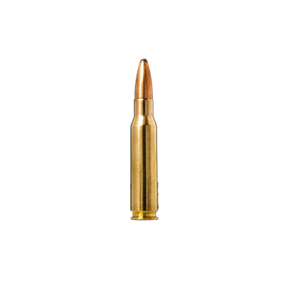 .308 WIN.
