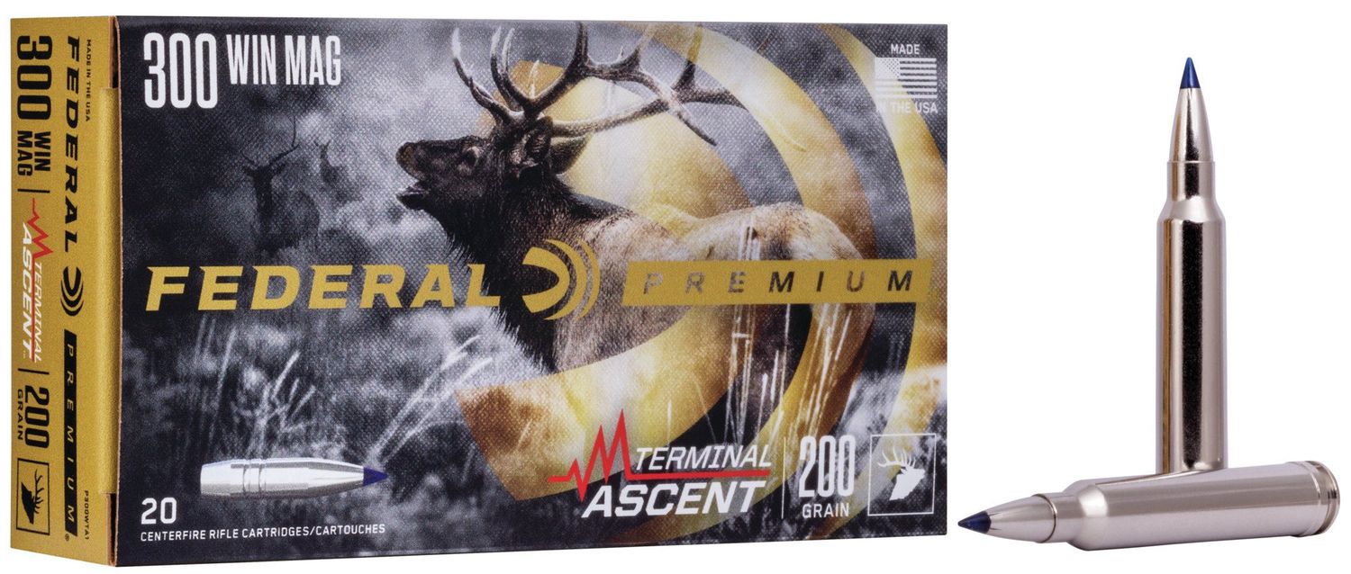 Federal Terminal Ascent 300 WIN 200GR 20RDS