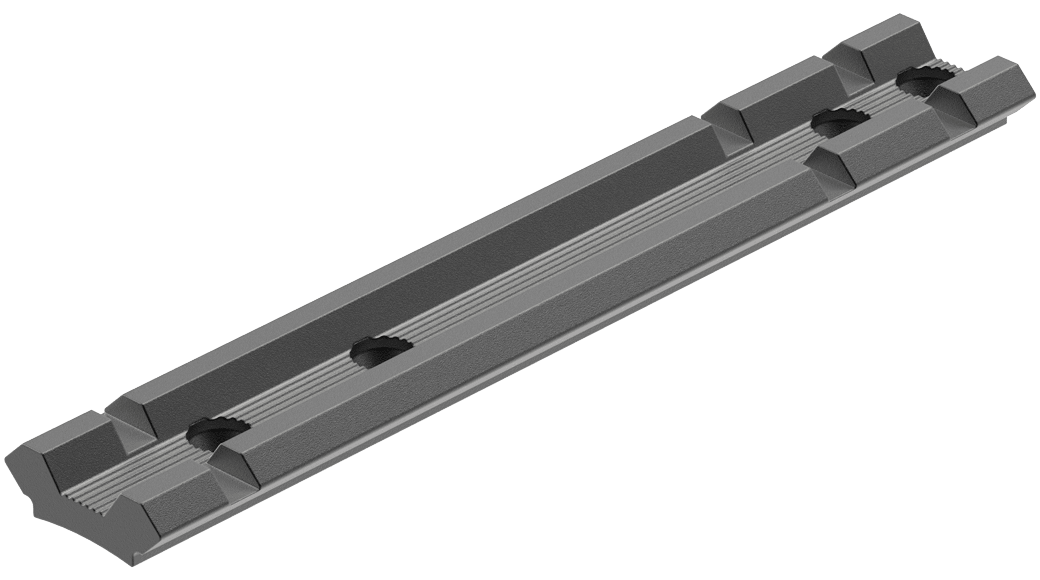 Leupold ruger 10/22 Matte