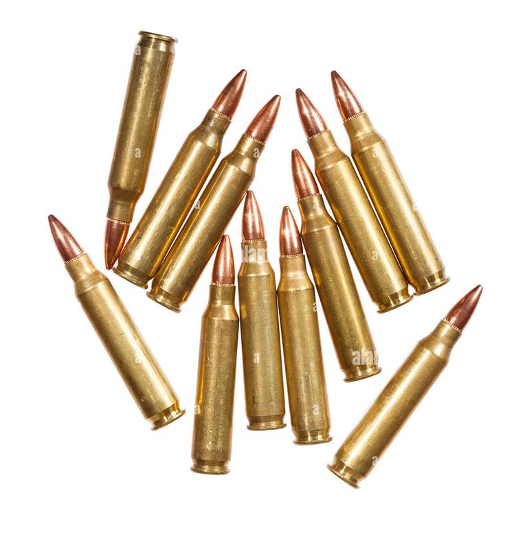 Swiss Tracer 5.56 10 Pack