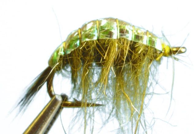 Dragonfly DW12349 Scud Olive #14