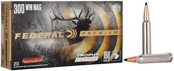 Premium 300 Win Mag 180GR Trophy Copper 20 Rds