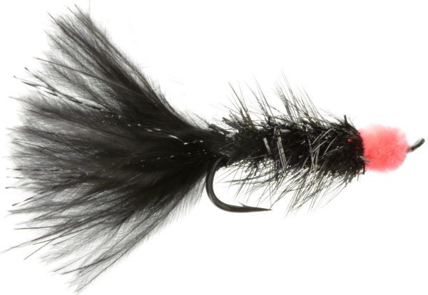 Dragonfly DW11342 Black Egg Sucking Leech #10