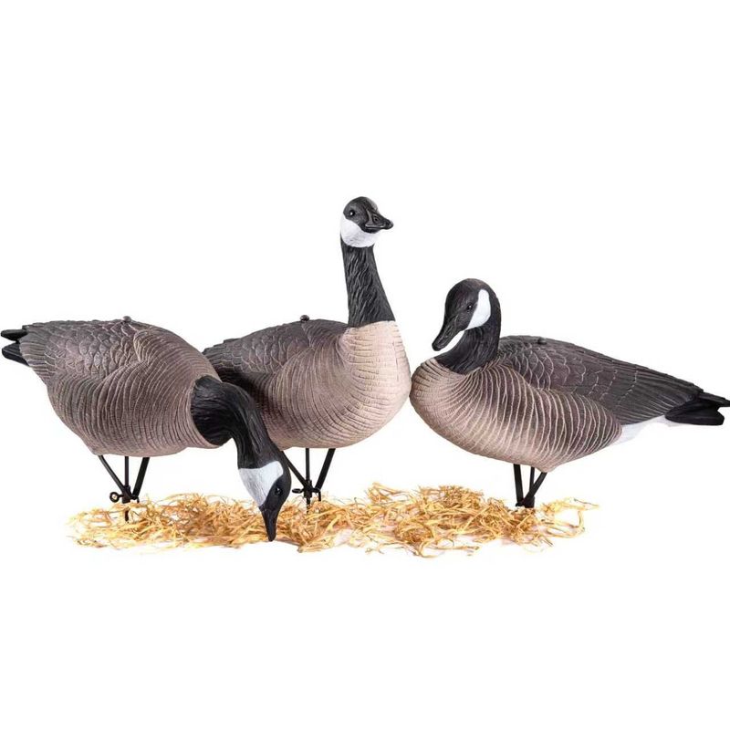 Full Body Canada Goose, 1 Dozen, Soft Shell Stand Included