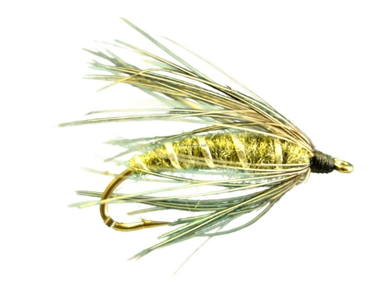 Dragonfly DW4661 Carey Olive #12