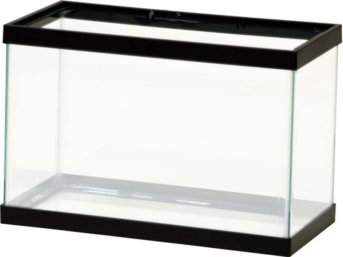 Aqueon 2.5 Gallon Standard Aquarium Tank