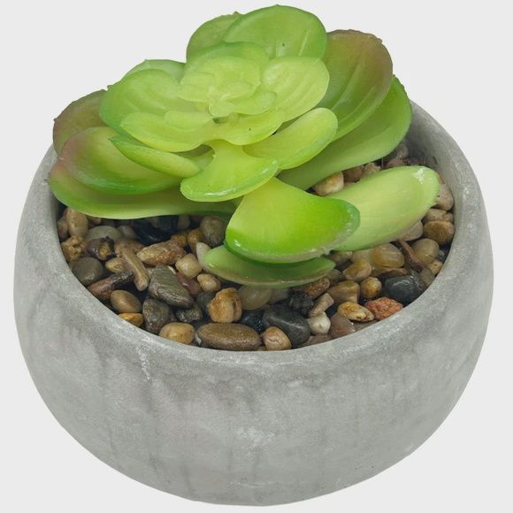 Home Decor