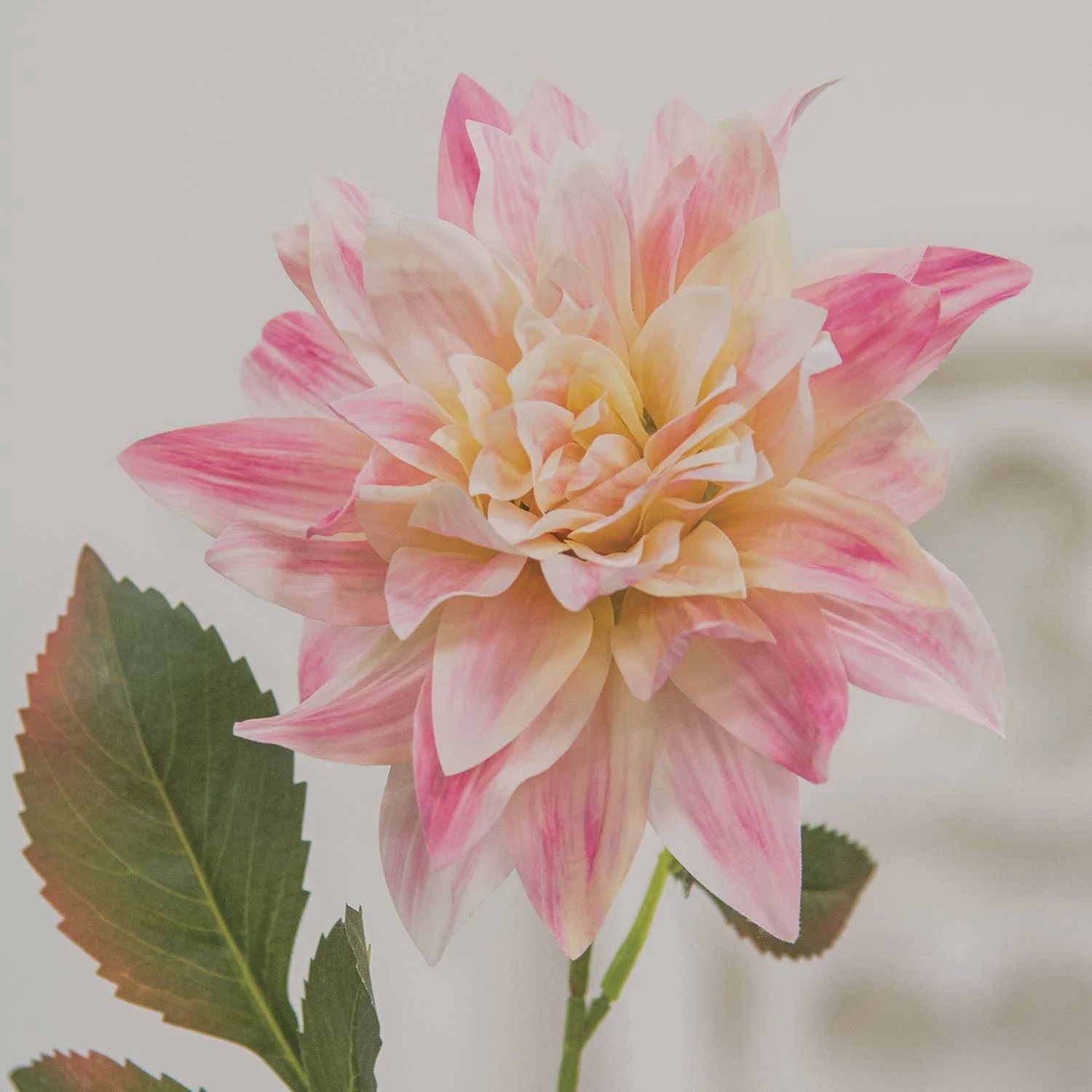 Blush Dahlia Stem - 27"H