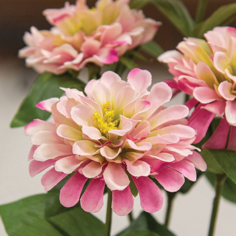 Pink Zinnia Spray - 23.5"