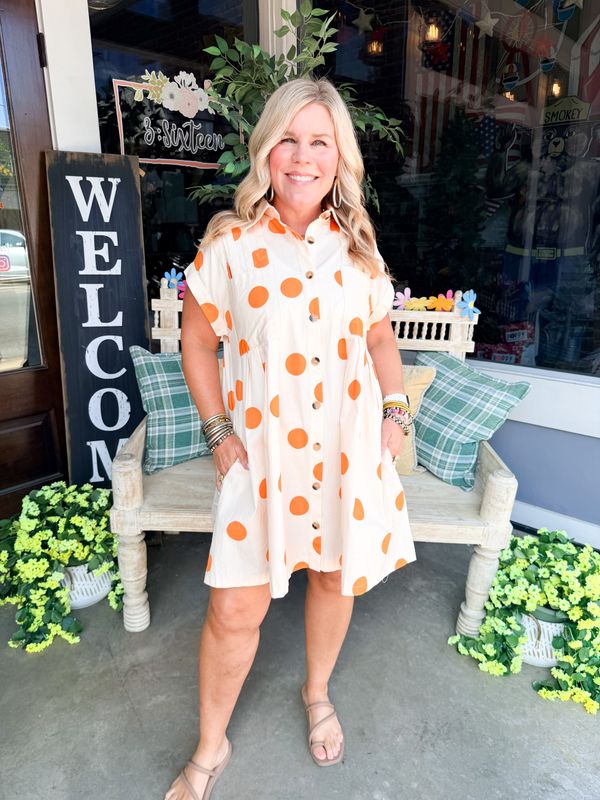 Polka Dot Button Down Pleated Poplin Mini Dress