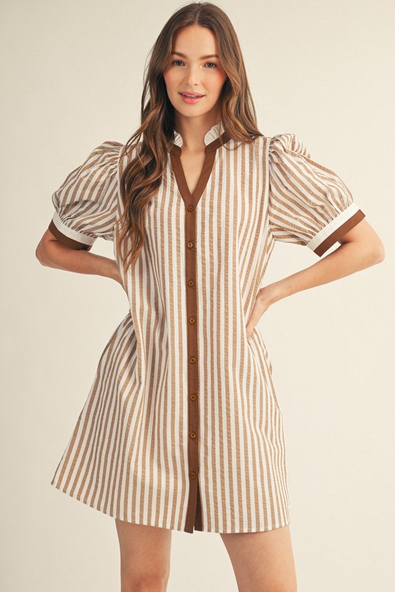 Brown Stripe Shift Dress