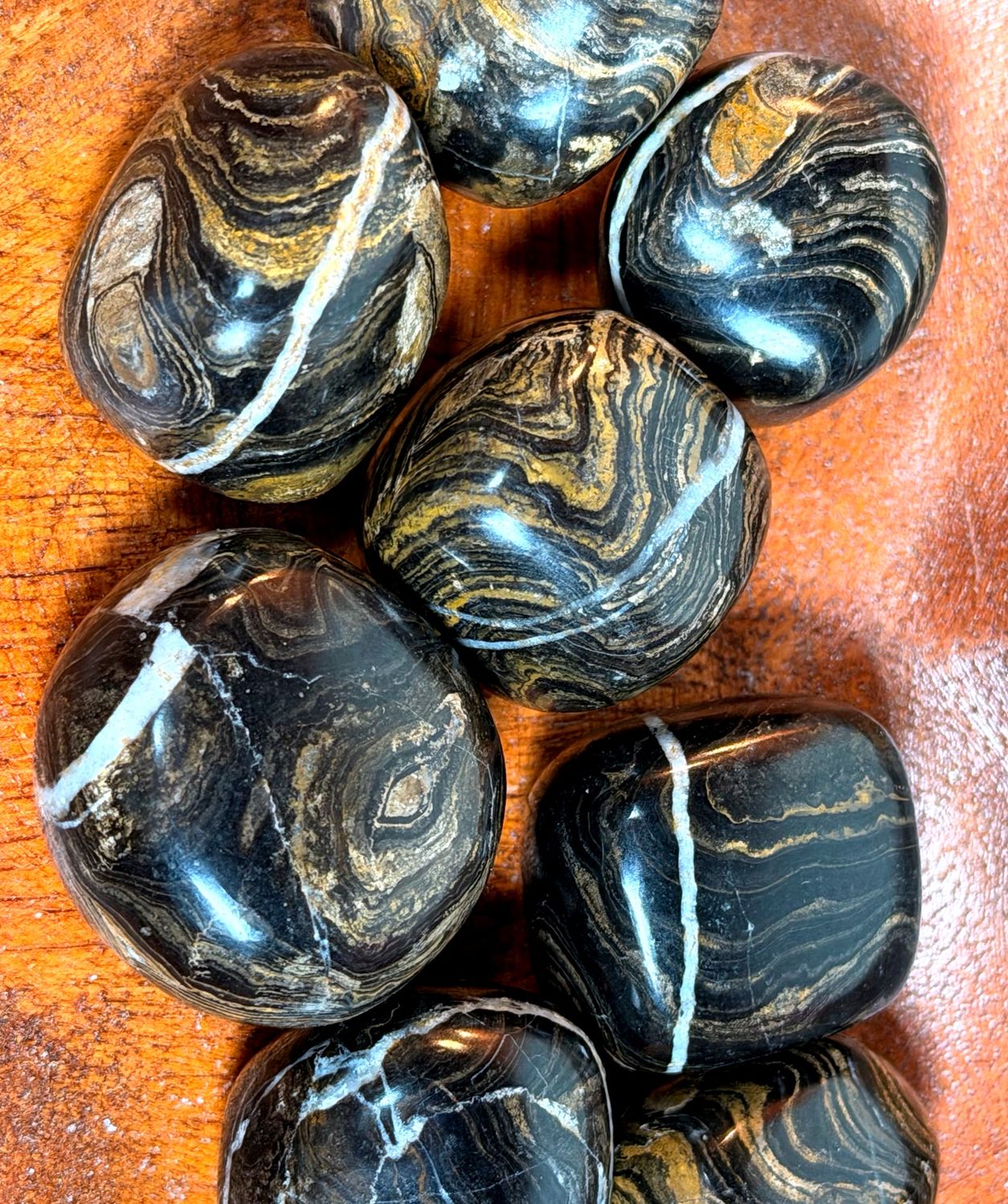 Polished Stromatolite Crystal – Evolution &amp; Resilience