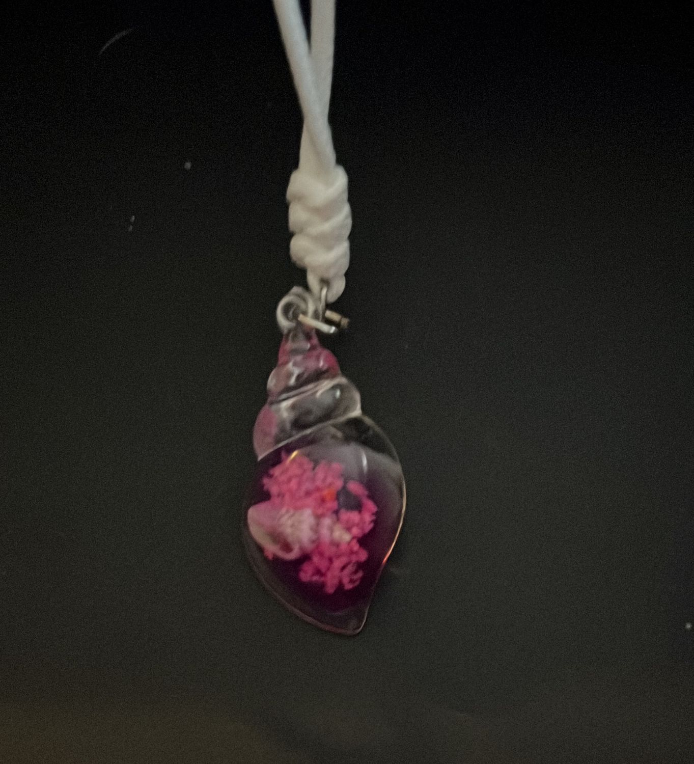 Pink sea shell