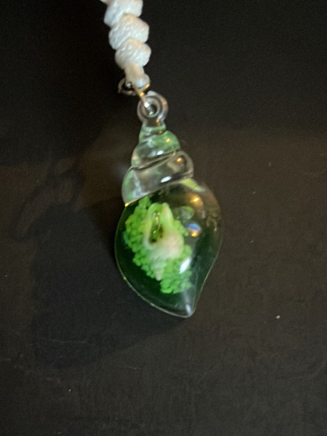 Green sea shell