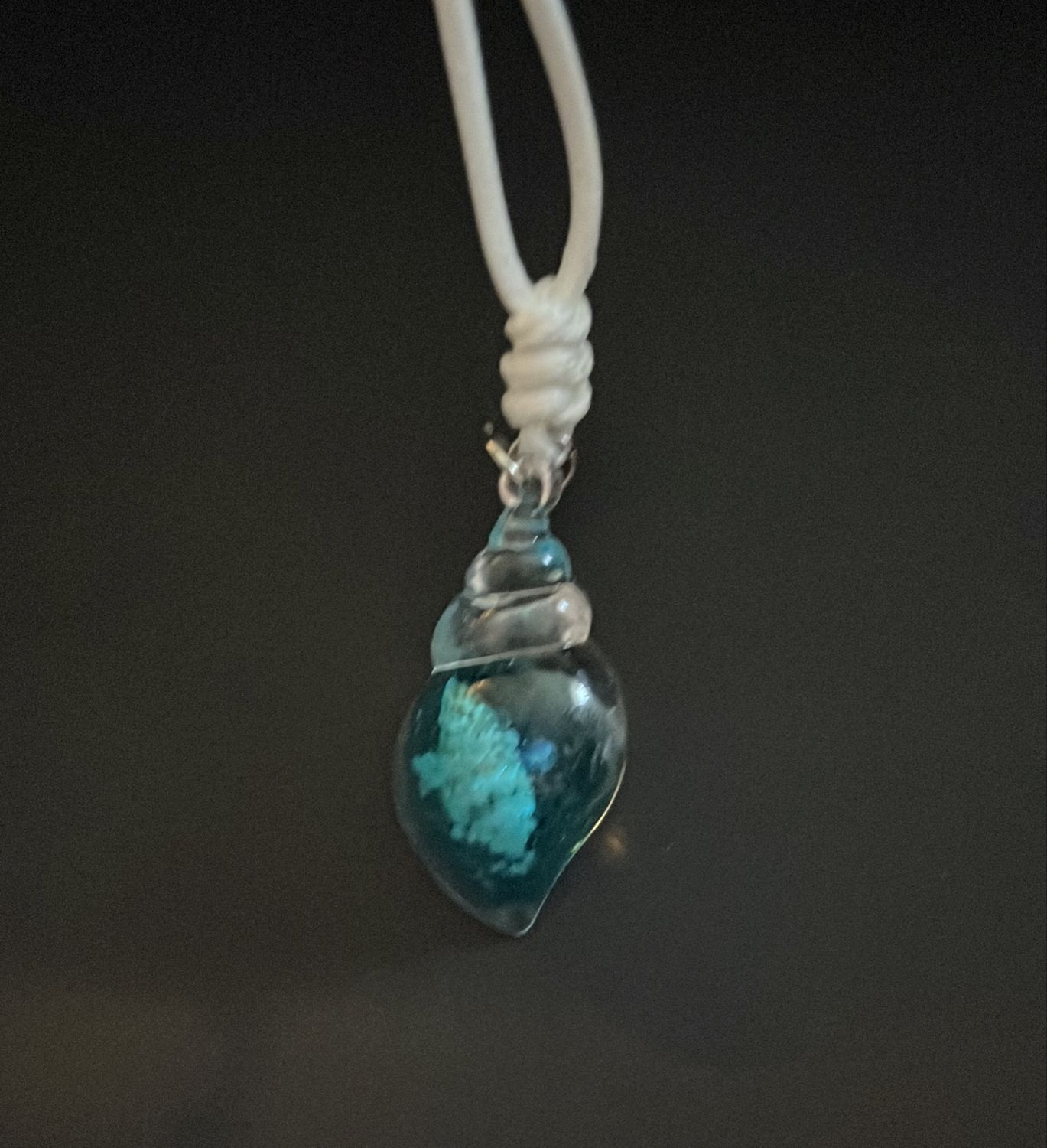Blue sea shell