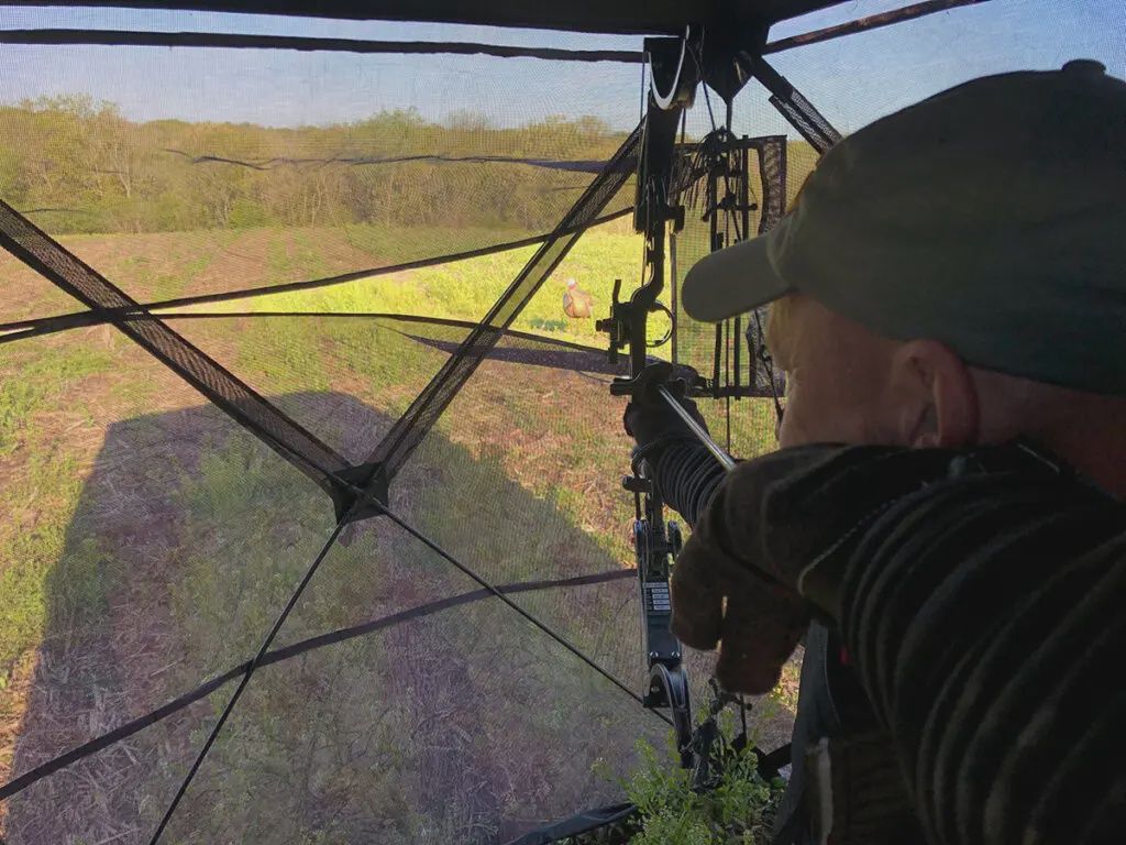 Prevue 2 - See through Blind