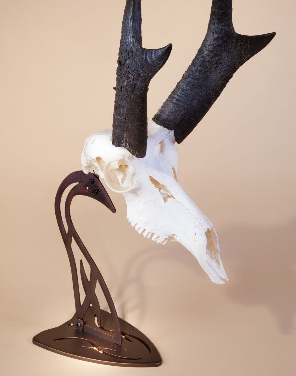 Table Hooker Skull Hooker