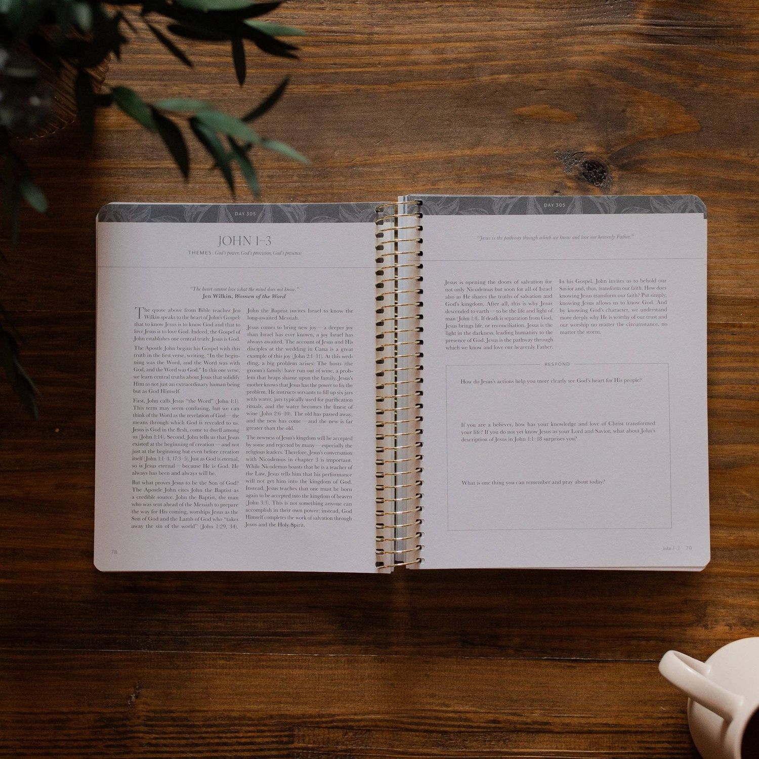 A Year in the Bible | Volume 4 Bible Study