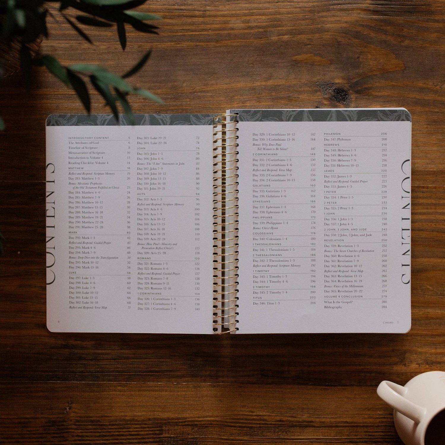 A Year in the Bible | Volume 4 Bible Study