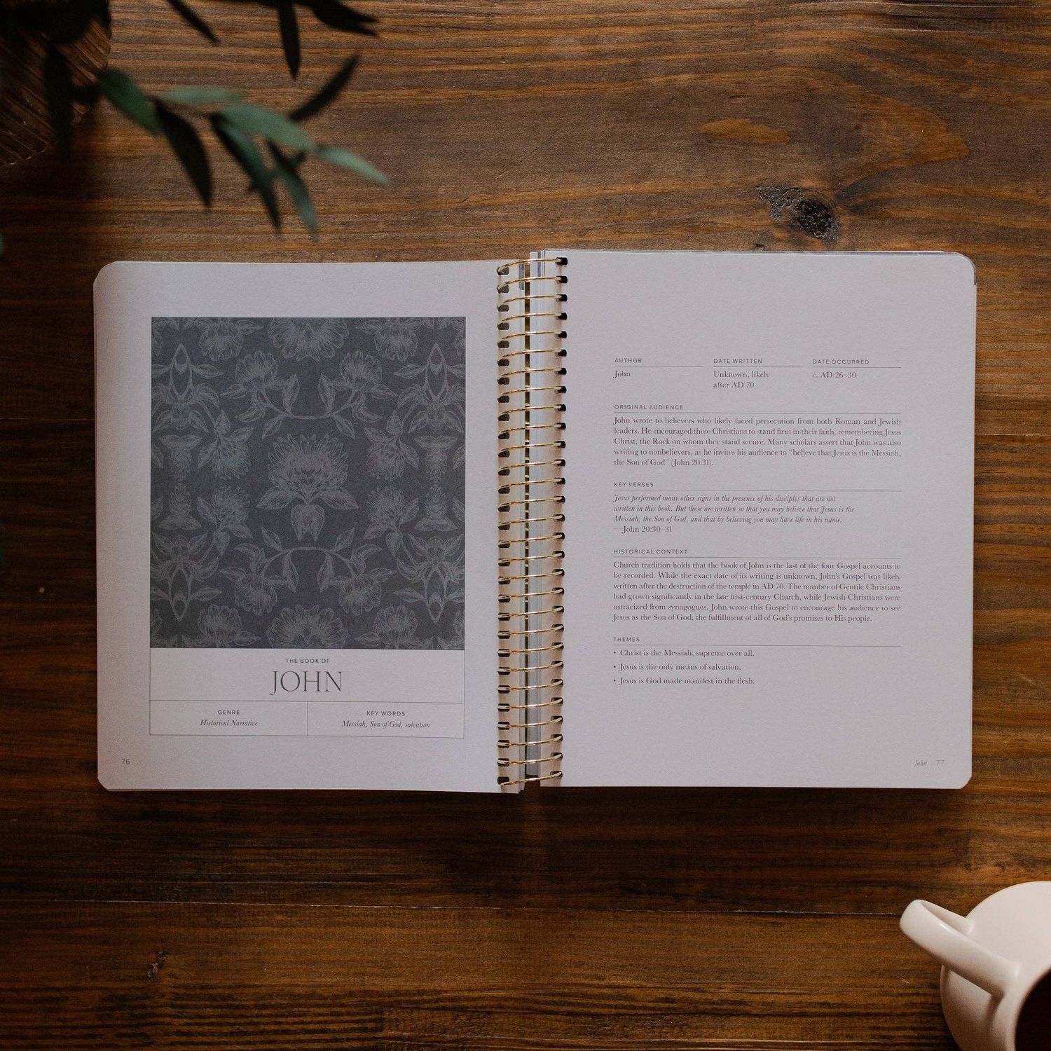 A Year in the Bible | Volume 4 Bible Study