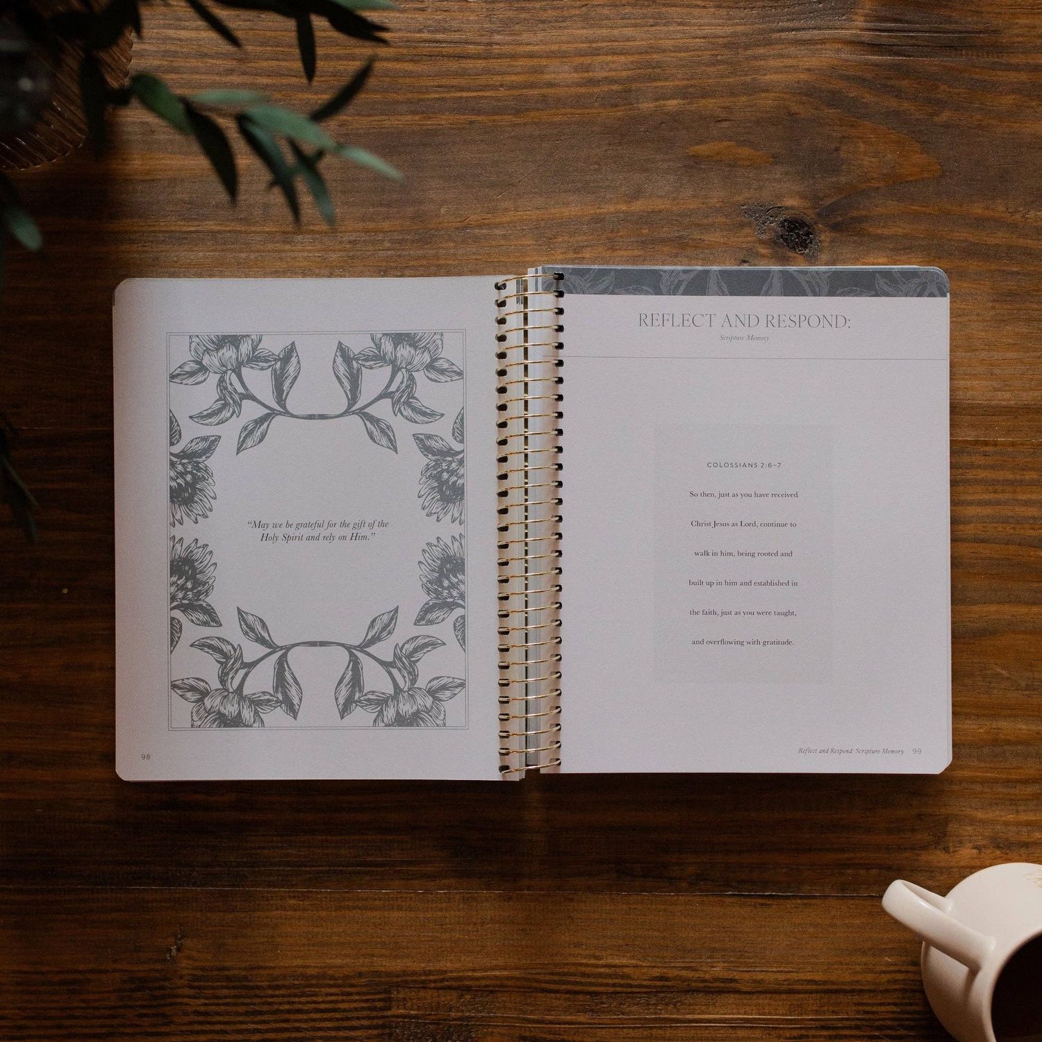 A Year in the Bible | Volume 4 Bible Study