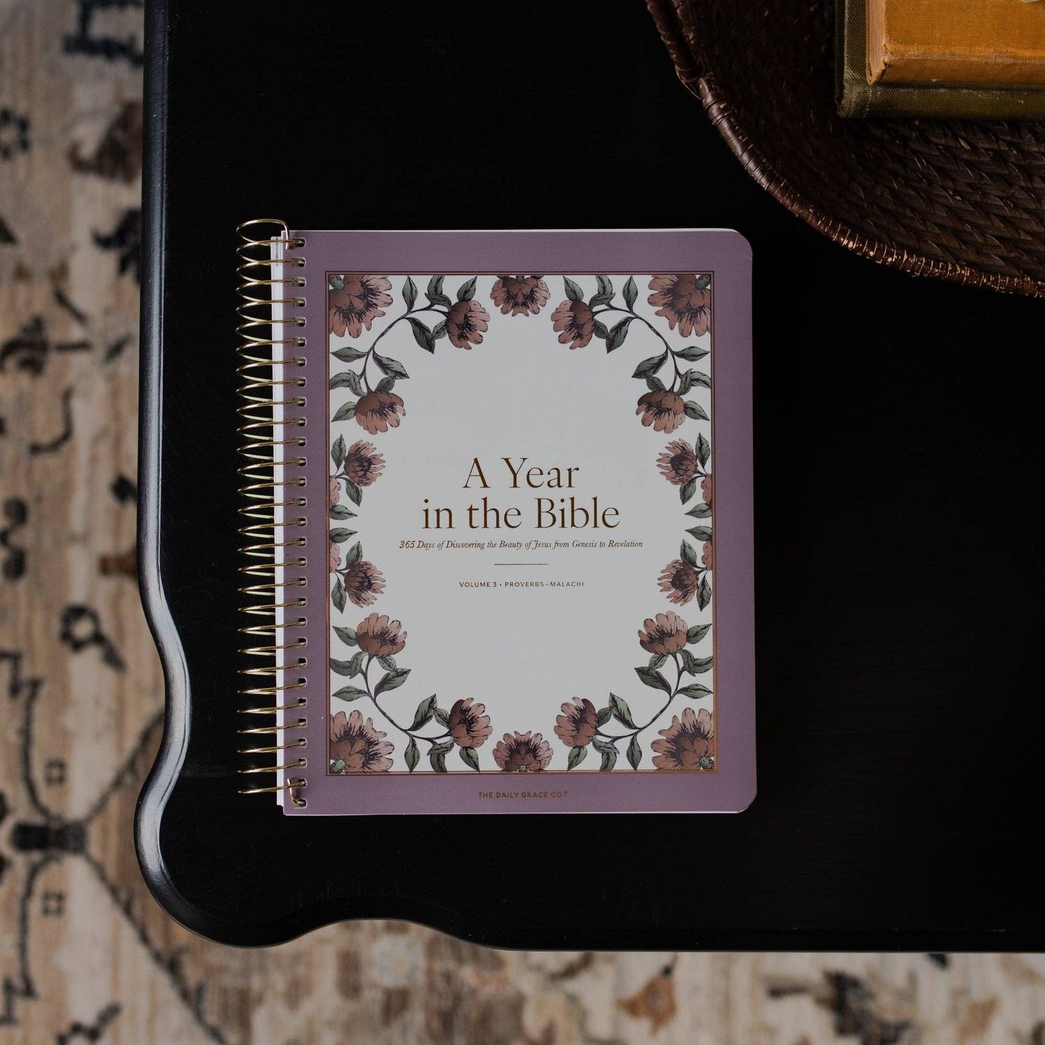 A Year in the Bible | Volume 3 Bible Study