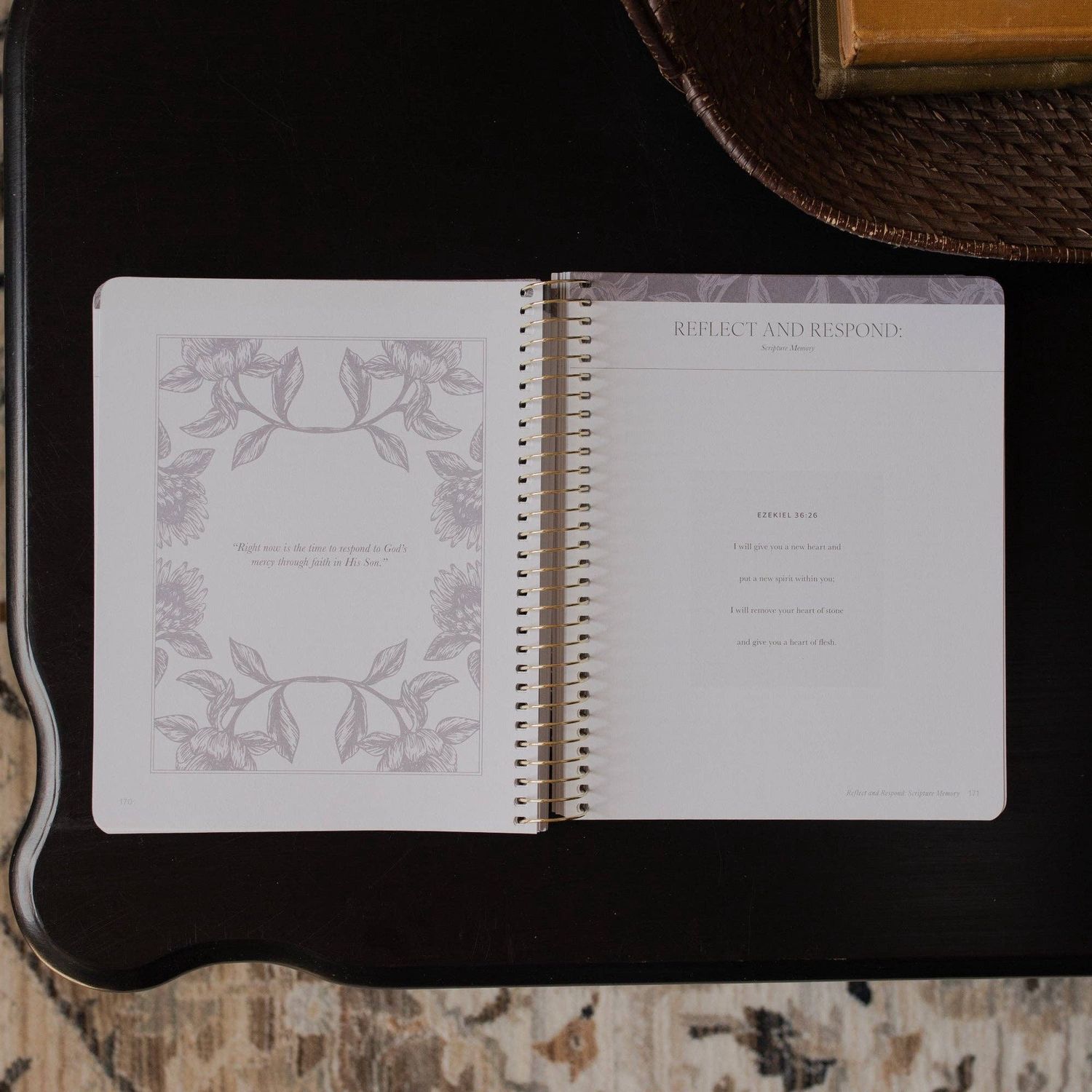A Year in the Bible | Volume 3 Bible Study