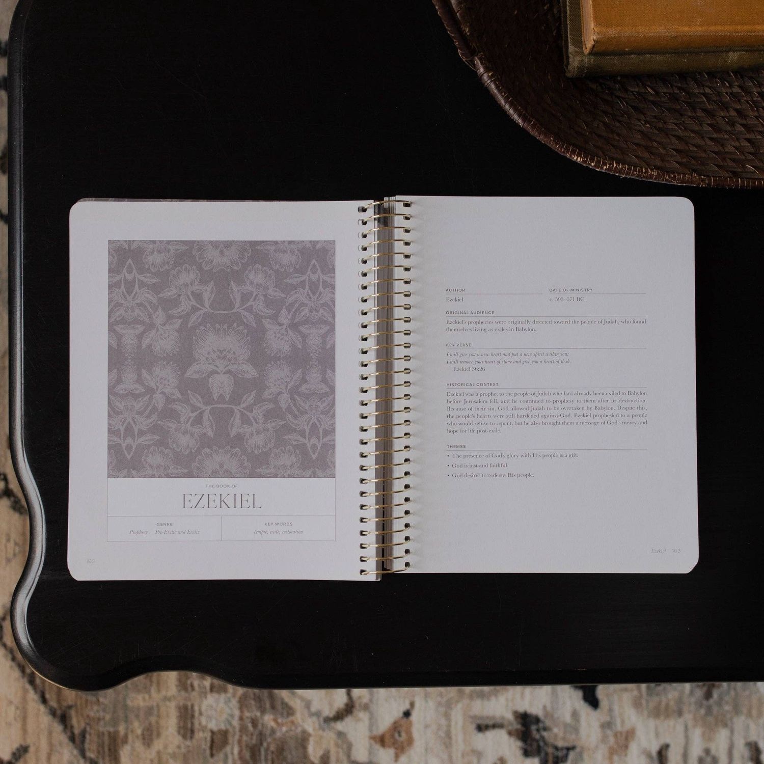 A Year in the Bible | Volume 3 Bible Study