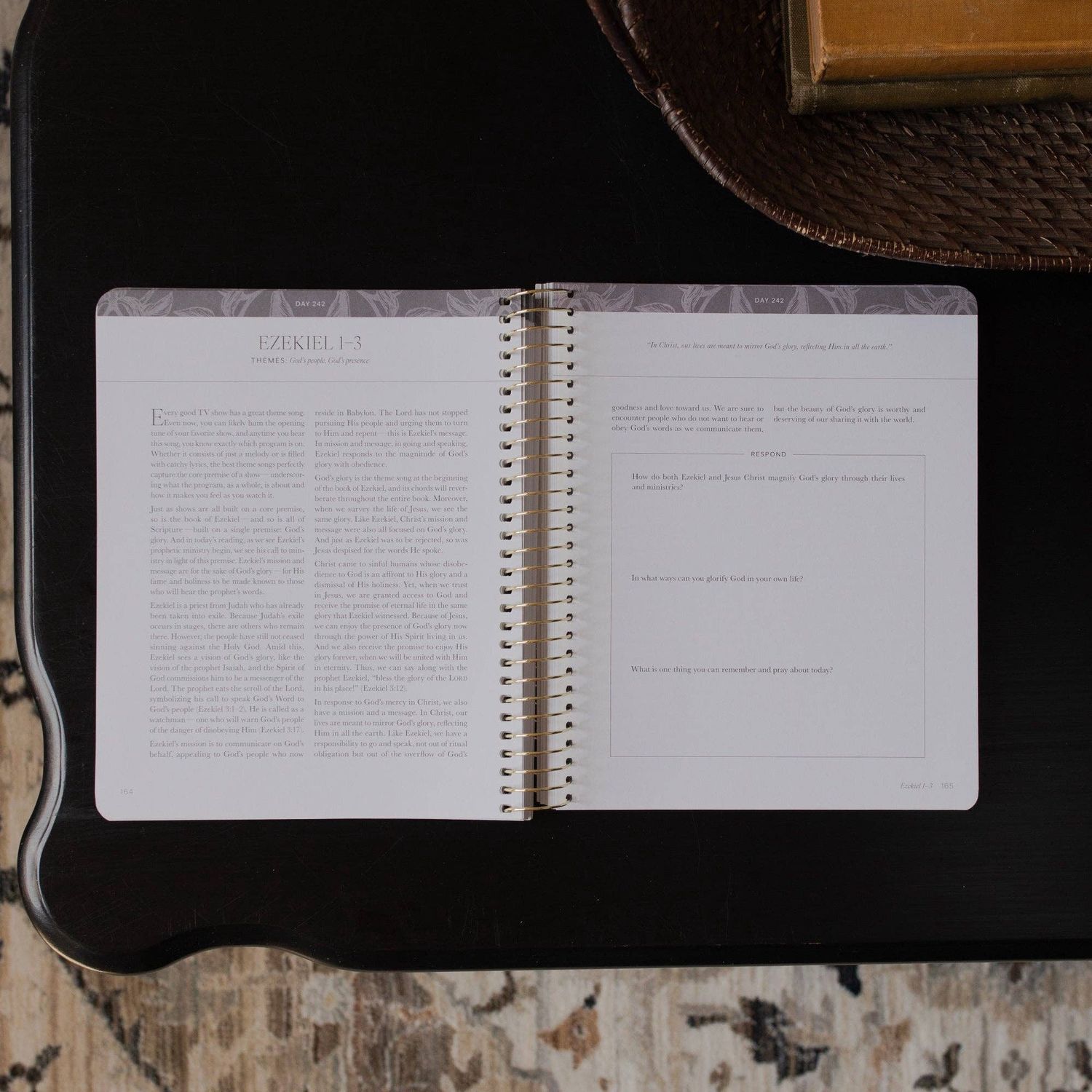 A Year in the Bible | Volume 3 Bible Study