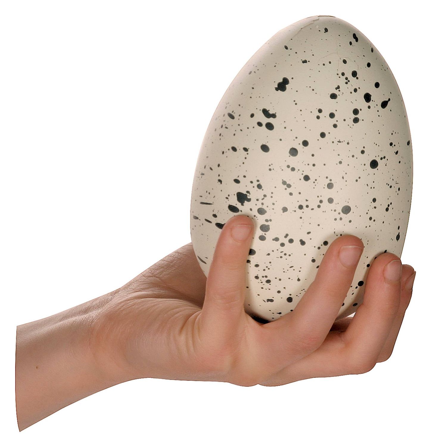 Ginormous Hatchin' Grow Dino Egg.