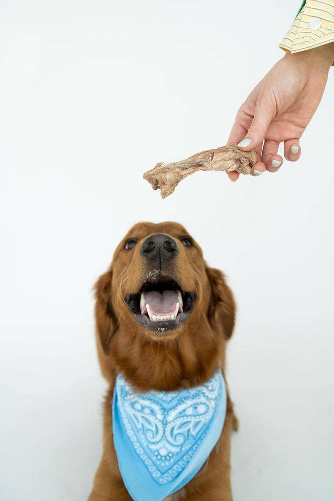 Bison Tendon Chews