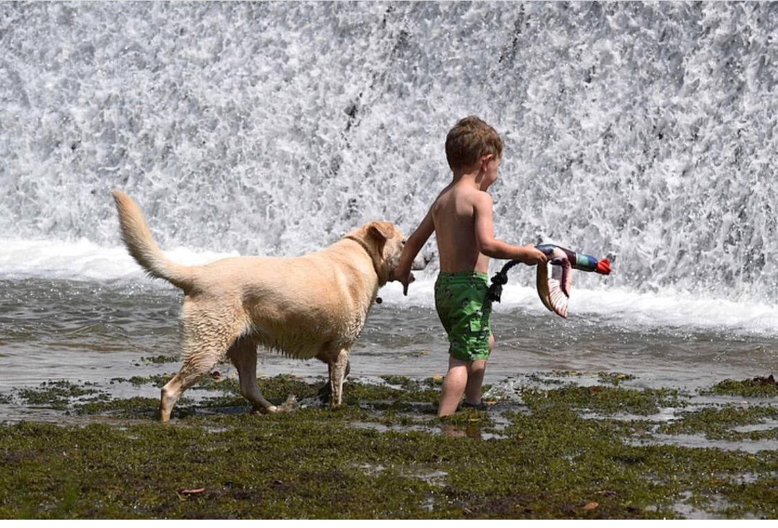 Fly &amp; Fetch Launching Toys