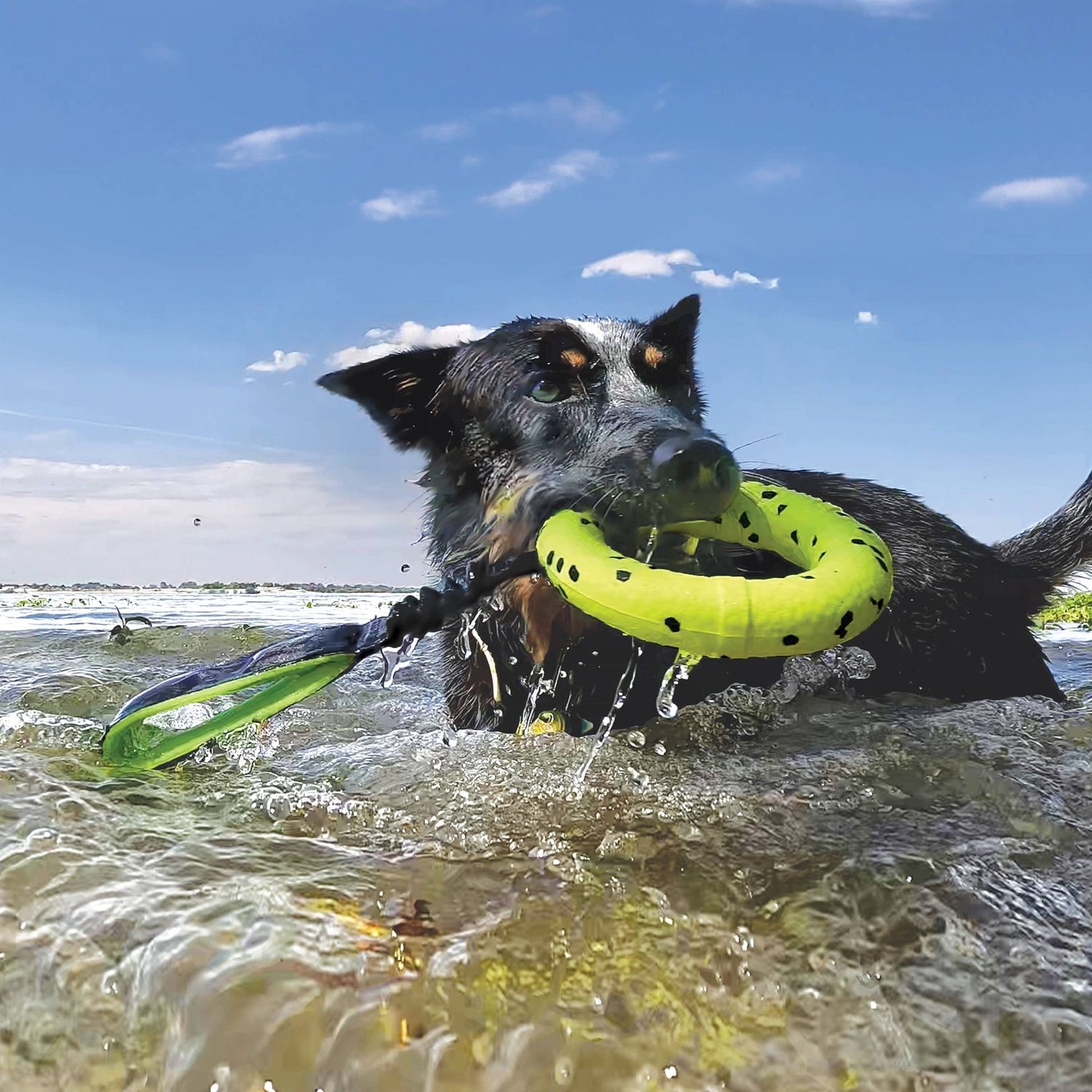 KONG® Reflex Tug Toy