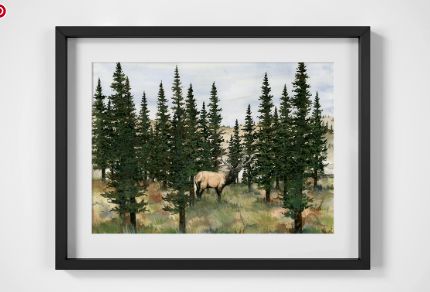 Elk In The Trees Print, Size: 11X14