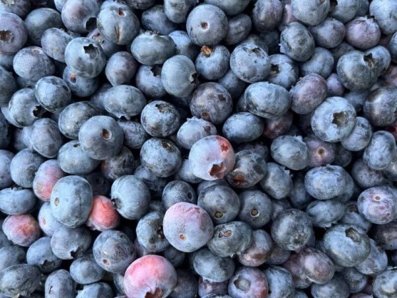 LIMITED Blueberry + Lemon Infused Organic Maple Syrup 250ml